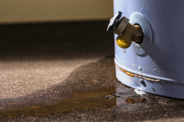 Best Water damage contractors near me  in Osakis, MN
