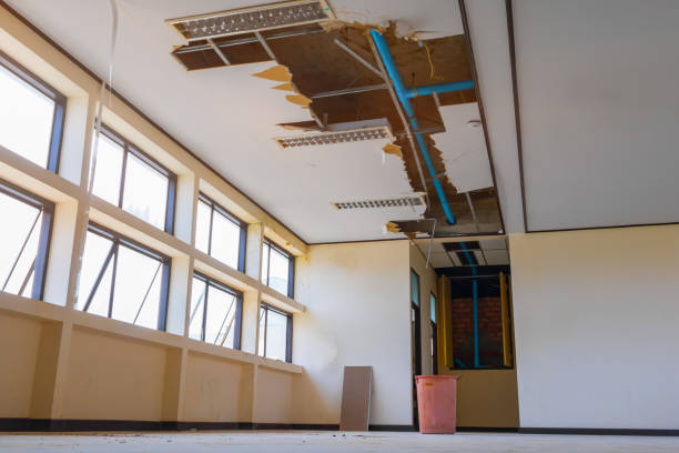 Best Local water damage restoration  in Osakis, MN