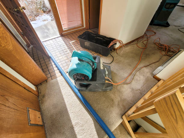 Best Water damage restoration process  in Osakis, MN