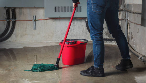 Carpet water damage restoration in Osakis, MN