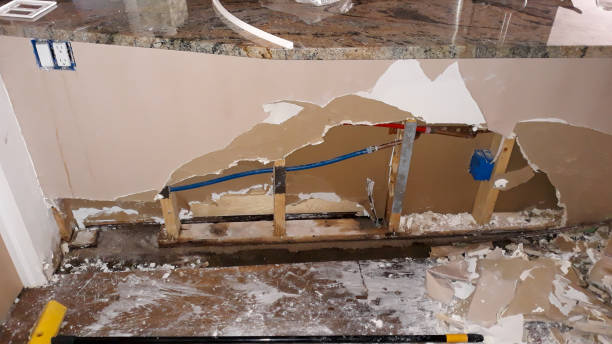 Best Residential water damage restoration  in Osakis, MN