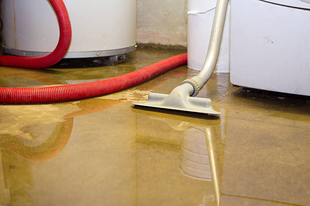 Best Ceiling water damage repair  in Osakis, MN