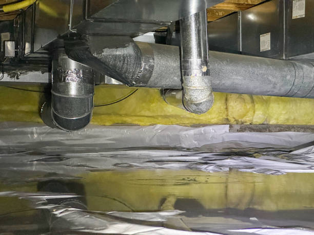Best Flood restoration services  in Osakis, MN