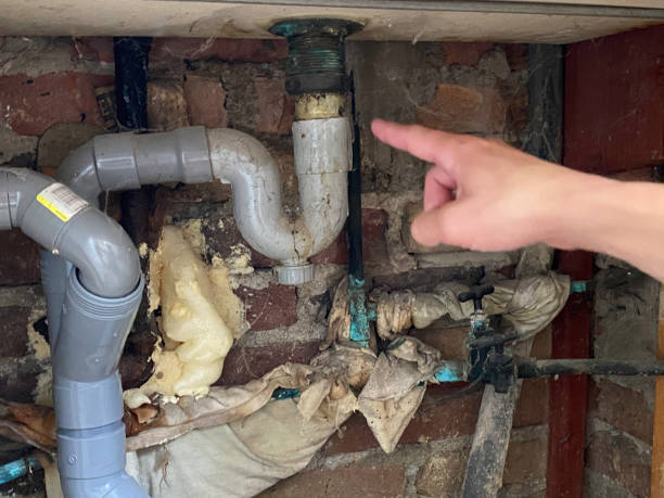 Best Water damage restoration company  in Osakis, MN