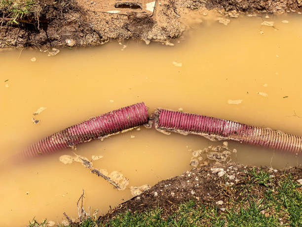 Best Water damage cleanup near me  in Osakis, MN