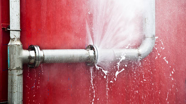 Best Commercial water damage restoration  in Osakis, MN